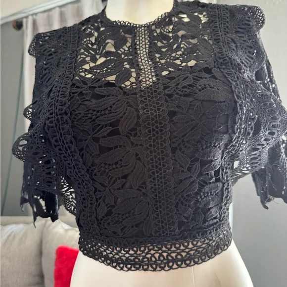Elegant Black Lace Crop Top - Picture 1 of 7